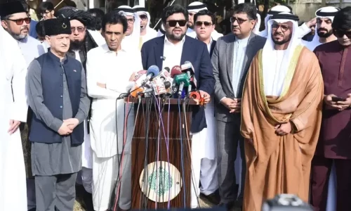 Sindh governor announces free solar panels for &lsquo;tenants&rsquo;