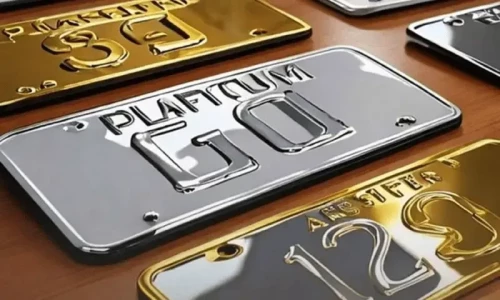&lsquo;Premium Number Plates&rsquo; auction generates Rs675.4m