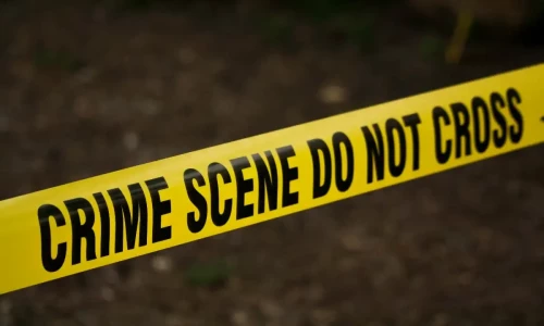 Pakistani diplomat&rsquo;s cook booked for molesting woman in India