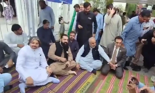 PTI to stage daily hunger strike outside Parliament against &lsquo;injustice&rsquo;