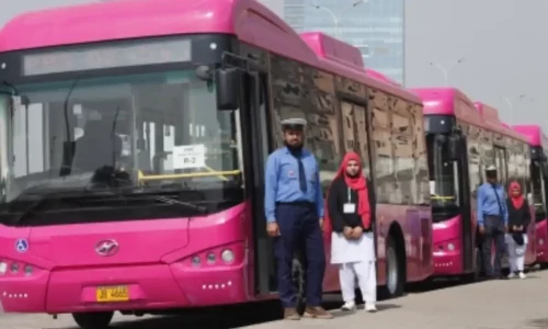 Ministry announces designated routes of Pink Bus service