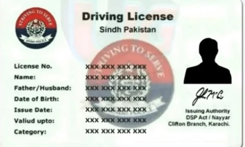 Sindh launches online driving license services