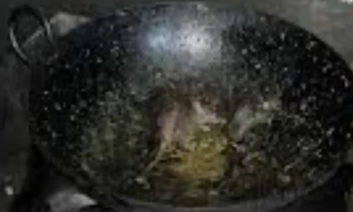 Viral video: Rats found in university campus kitchen