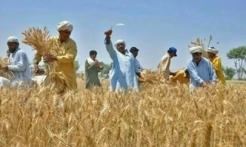 Here&rsquo;s what you should know about Kissan card launched by Maryam Nawaz