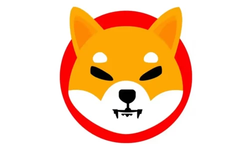 Shiba Inu cryptocurrency soars to eight-month high