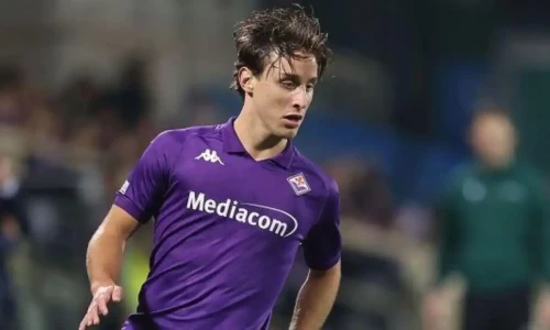 Fiorentina&rsquo;s Edoardo Bove in intensive care following on-field collapse; match abandoned