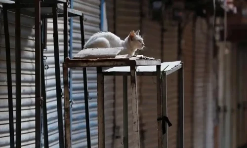 Widespread wheel jam and shutter-down strike in Azad Kashmir over Presidential ordinance