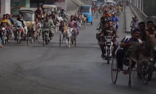 Slum residents spend heavily on racing donkeys amid economic hardship