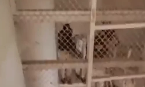 Victim, suspect in Mustafa murder case were childhood friends: interrogation report