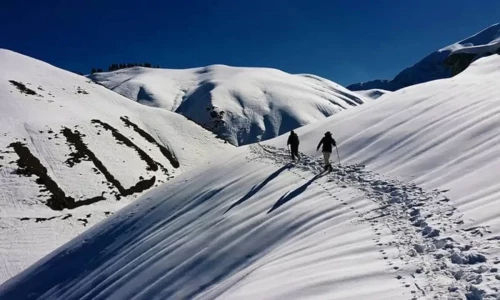 Foreign tourists rescued after 10-hour operation amid snowfall in Shogran