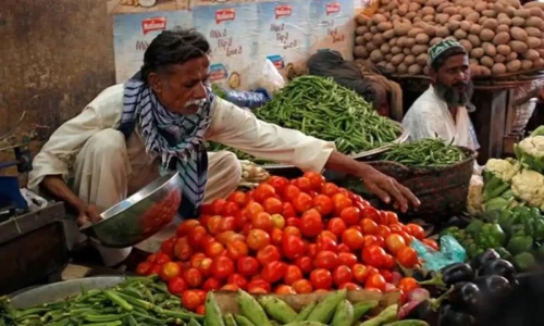 Tomato prices fall to rates lower than child&rsquo;s pocket money in Mirpurkhas