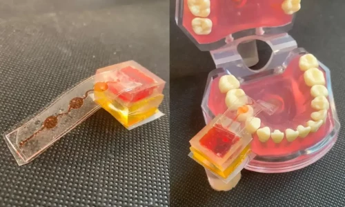 ذائقوں کو چکھ کر ان کی نقل تیار کرنے والی &rsquo;الیکٹرانک زبان&lsquo; تیار