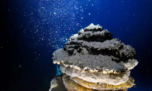&lsquo;Dark oxygen&rsquo;: a deep-sea discovery that has split scientists