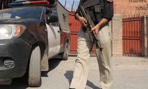 Seven killed in Quetta village attack, bodies set on fire