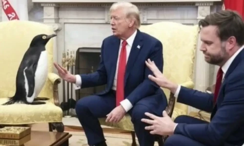 Trump&rsquo;s tariff turns penguins into social media superstars: ice, taxes, and viral memes