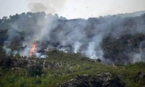 Forest fire in Malakand&rsquo;s turns hazardous