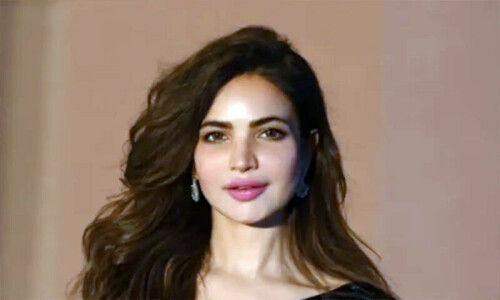 بڑے بھائی نے جنازے میں شرکت کیوں نہیں کی؟ حمیرا کی بڑی بھابھی کے نئے اہم انکشافات