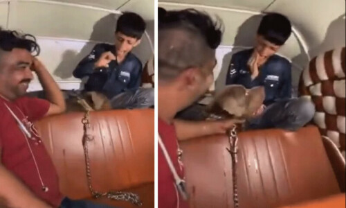خوفناک کتے کو بچے پر چھوڑنے کے بعد مالک ہنستا رہا، ویڈیو وائرل