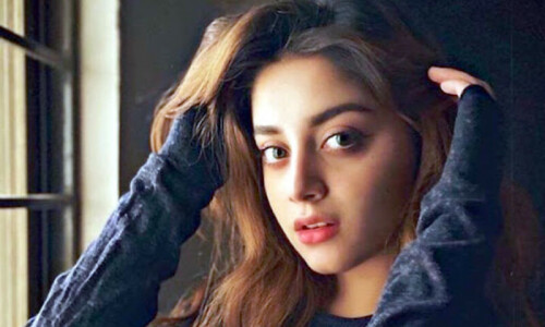 علیزے شاہ نے مزید ڈراموں میں کام نہ کرنے کی وجہ بتادی