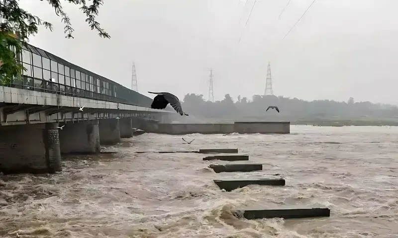 Flood threat escalates in Bahawalnagar as India releases water into Sutlej