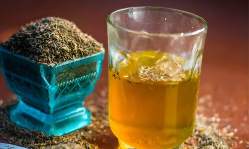 موسمِ برسات میں زیرہ پانی کا استعمال کیوں ضروری ہے؟