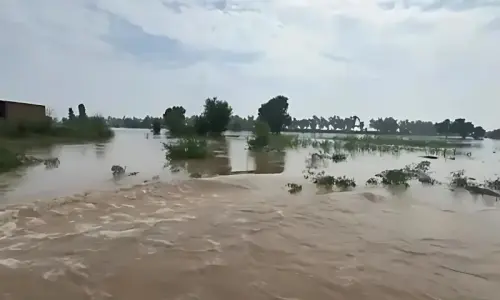 Embankment breached to protect Sidhnai headworks near Khanewal