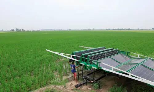 Solar-powered farming is digging Pakistan into a water catastrophe