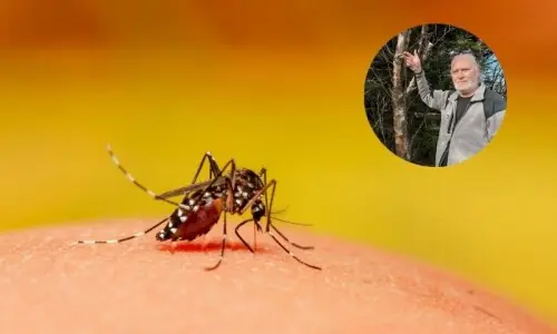 موسمیاتی تبدیلی یا قدرتی رجحان؛ آئس لینڈ میں پہلی مرتبہ مچھر دریافت