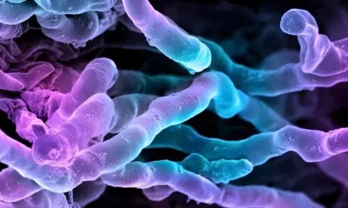 سائنس دانوں نے نظروں کے سامنے چھپی نئی طاقتور اینٹی بائیوٹک ڈھونڈ نکالی سائنس دانوں نے نظروں کے سامنے چھپی نئی طاقتور اینٹی بائیوٹک ڈھونڈ نکالی