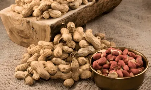 سردیوں میں روزانہ کتنی مونگ پھلی کھانی چاہیے؟ سردیوں میں روزانہ کتنی مونگ پھلی کھانی چاہیے؟