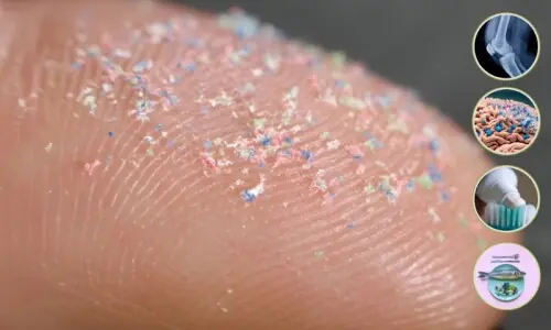 پلاسٹک کے ذرات ہڈیاں کمزور کرکے توڑنے لگے: نئی تحقیق