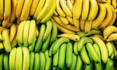 کون سا کیلا کھانے میں نقصان دہ ہے؟