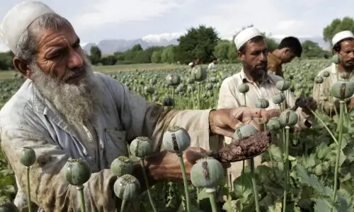 افغان ہیروئن کا کاروبار کمزور کرنے کیلئے امریکی خفیہ ایجنسی کی فلمی چال