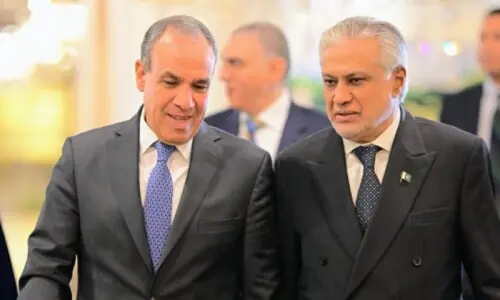 غزہ جنگ بندی معاہدے میں پاکستان نے اہم کردار ادا کیا: مصری وزیر خارجہ