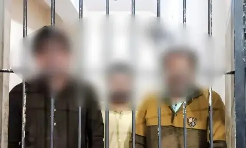 ٹک ٹاکر خاتون کے بال کاٹنے کا کیس، دو ملزمان کی ضمانت منظور