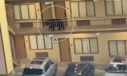 ریچھ کی ہوٹل کے کمروں کے باہر گھومنے کی وڈیو وائرل