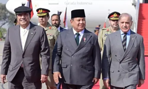 صدر پرابوو کا دورہ: پاکستانی ڈاکٹرز، پروفیسرز اور ماہرین کو انڈونیشیا بھیجنے پر اتفاق