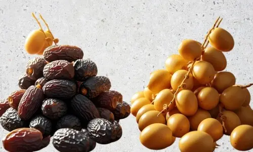 کھجور یا کھجی : صحت کے لیے کیا زیادہ فائدہ مند ہے؟