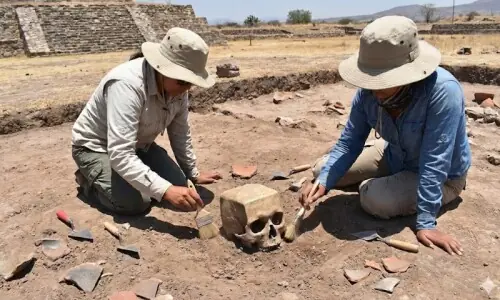 میکسیکو میں چوکور انسانی کھوپڑی دریافت، قدیم تہذیب کا نیا معمہ میکسیکو میں چوکور انسانی کھوپڑی دریافت، قدیم تہذیب کا نیا معمہ