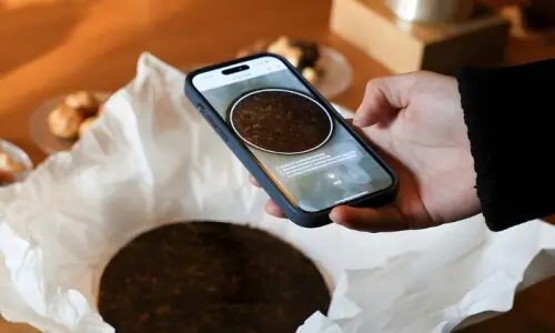 کمائی کا انوکھا تجربہ: نایاب درخت اور چائے ڈیجیٹل اثاثوں میں تبدیل