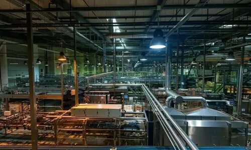 Industrial output rebounds as LSM posts strong growth