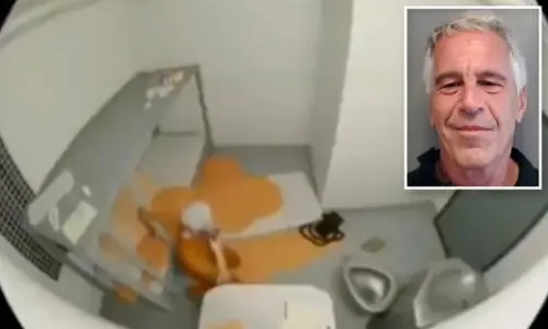 جیفری ایپسٹین کی خودکشی کی مبینہ ویڈیو جاری کرکے ڈیلیٹ کردی گئی