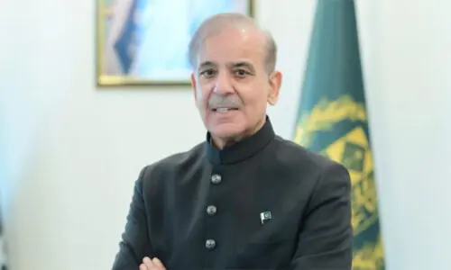 Panel urges PM to release jailed PTI leaders to advance talks