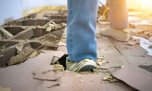 گراؤنڈ فلور گھروں میں دیمک زیادہ لگنے کی وجوہات اور حل