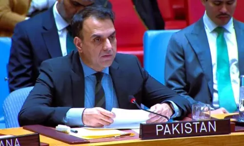 صومالی لینڈ: پاکستان نے اقوام متحدہ میں اسرائیل کا منصوبہ بے نقاب کردیا