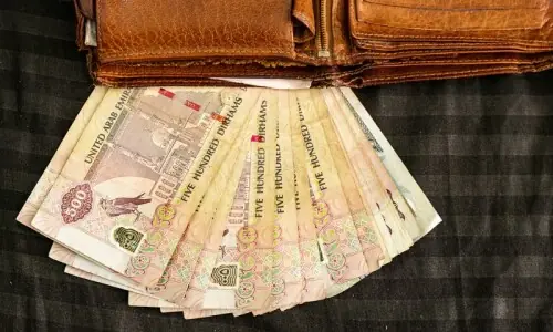 یو اے ای نے نئے سال پر ملازمین کی تنخواہوں میں بڑا اضافہ کردیا