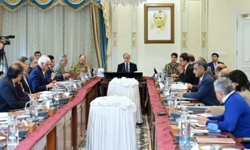 PM Shehbaz orders push for new oil, gas exploration to cut import bill