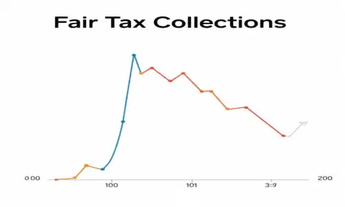 Fair tax contribution missing link to Pakistan&rsquo;s progress