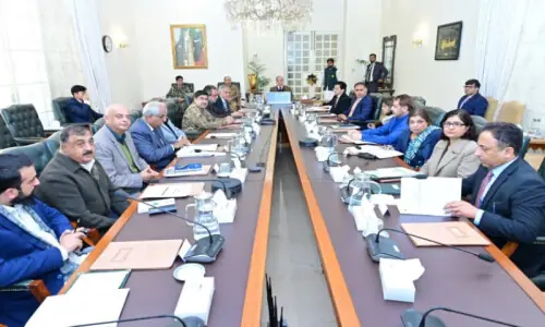 PM orders solar shift for high-loss power feeders