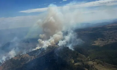 Australian bushfires raze homes, cut power to tens of thousands